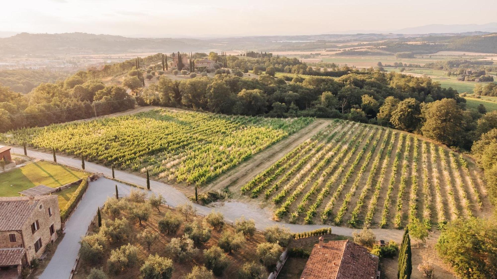 Borgo Siliano - Antico Podere Siliano Villa Citta della Pieve Bagian luar foto